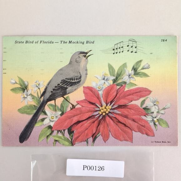 Vintage Florida Linen Postcard Mockingbird State Bird Orange Blossom Flower 1951 - Picture 1 of 2
